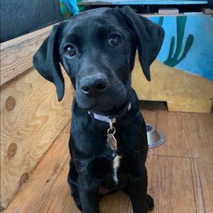 Meet your Posher, Kailee